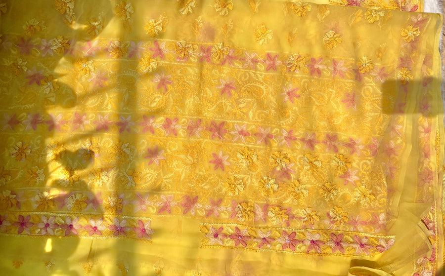 Yellow Resham Chiffon Chikankari Saree