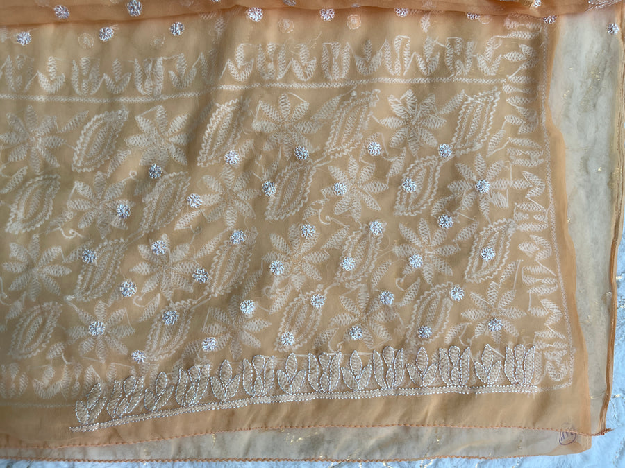 Light Orange Chiffon Chikankari Saree | Lucknowi – photo 4