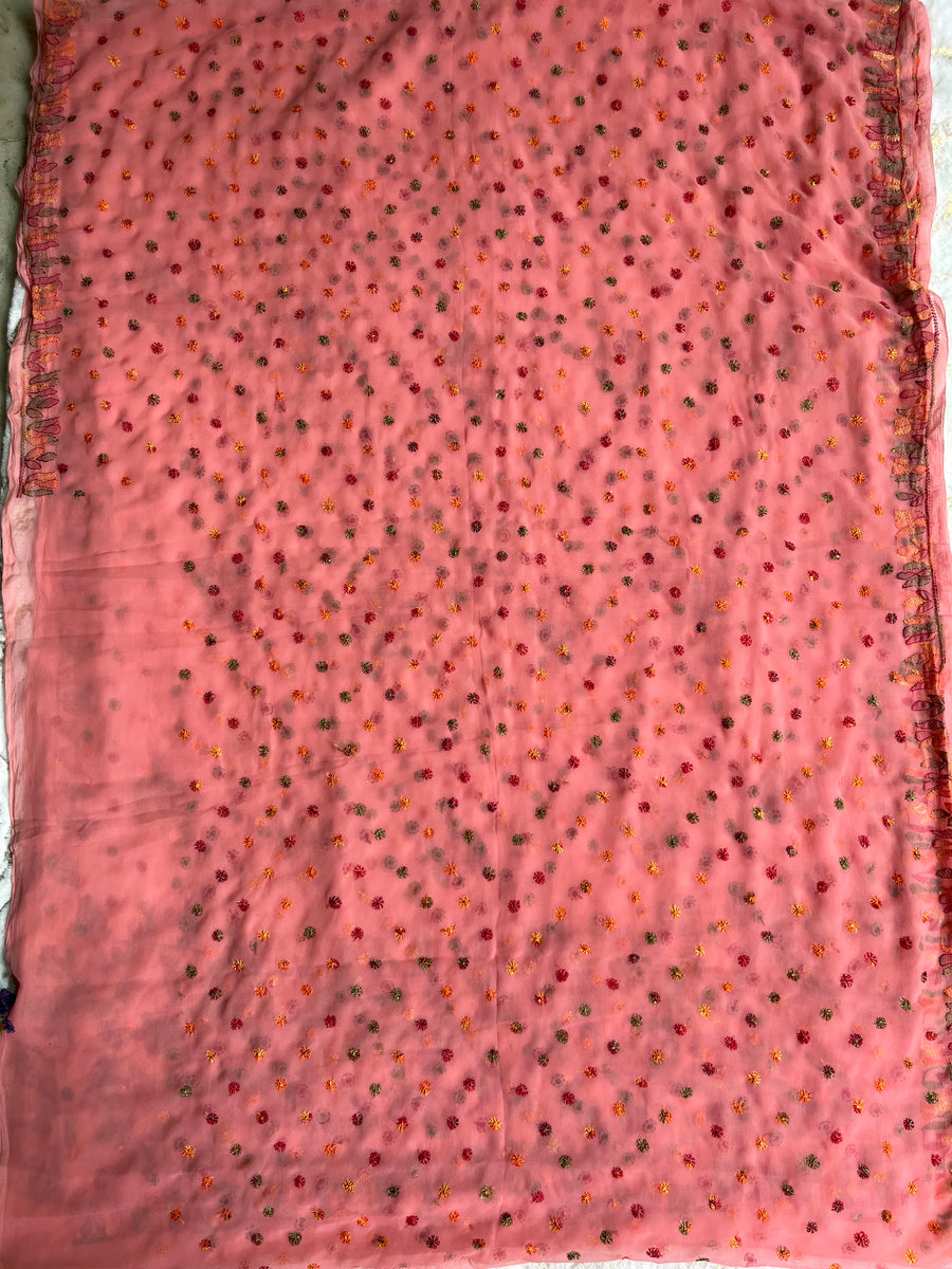 Pink Chikankari Chiffon Saree | Multi-Colour Resham Embroidery – photo 3