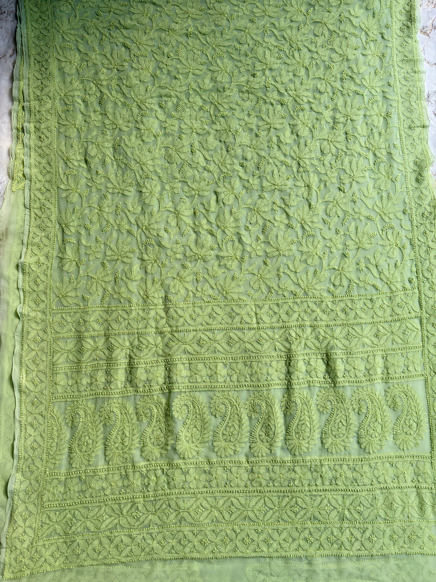Green Chiffon All over Work Jaal Chikankari Saree | Lucknowi