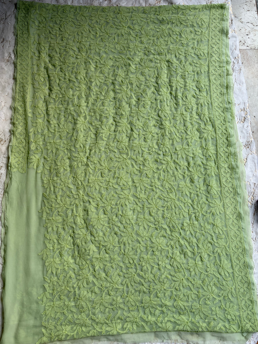 Green Chiffon All over Work Jaal Chikankari Saree | Lucknowi