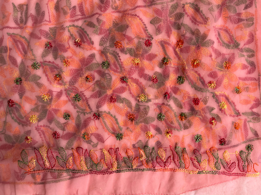 Pink Chikankari Chiffon Saree | Multi-Colour Resham Embroidery – photo 4